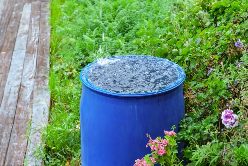 Jak funguje sud na dešťovou vodu a jak vybrat správný typ?